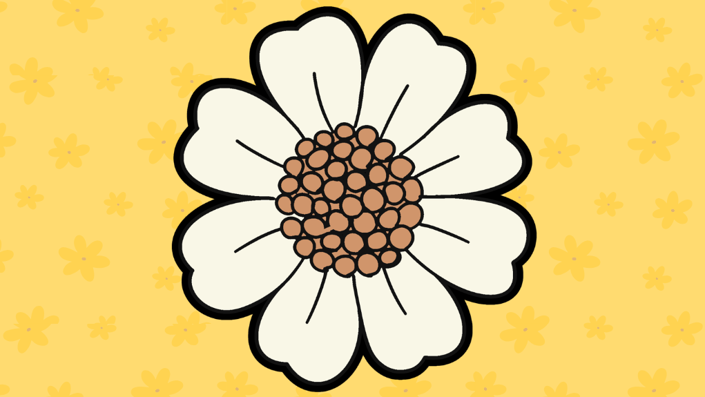 Illustratie van een bloem met witte blaadjes en een bruin hart in een eenvoudige lijntekening stijl