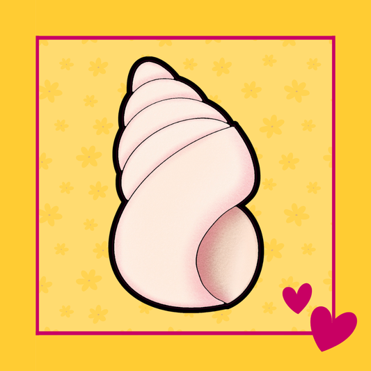 Whelk uitsteker voor koekjes in de vorm van een zeeschelp