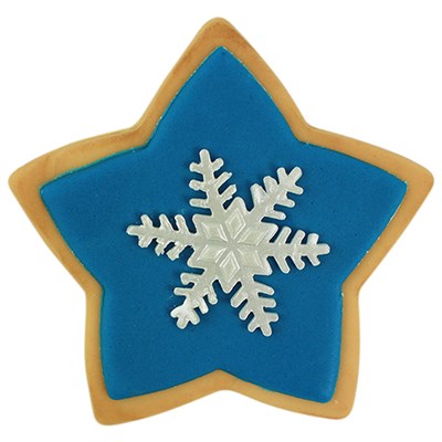 Sterkoekje met blauwe fondant en sneeuwvlok gemaakt met de PME ster uitsteker set